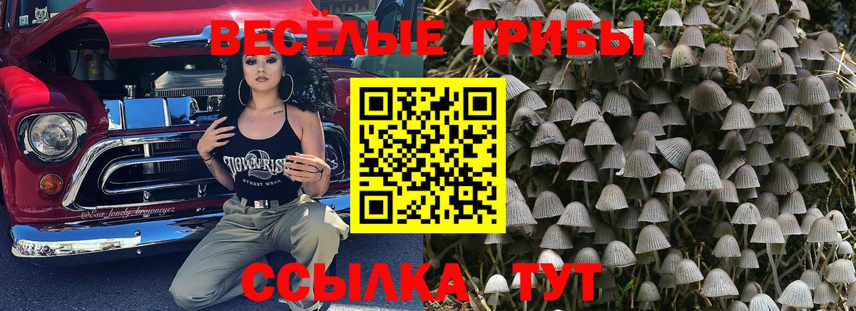 Галлюциногенные грибы Psilocybine cubensis Нефтекамск