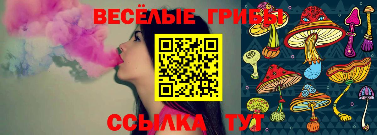 Псилоцибиновые грибы Psilocybine cubensis  Псилоцибиновые грибы прущие грибы  Вход с VPN  Нефтекамск 